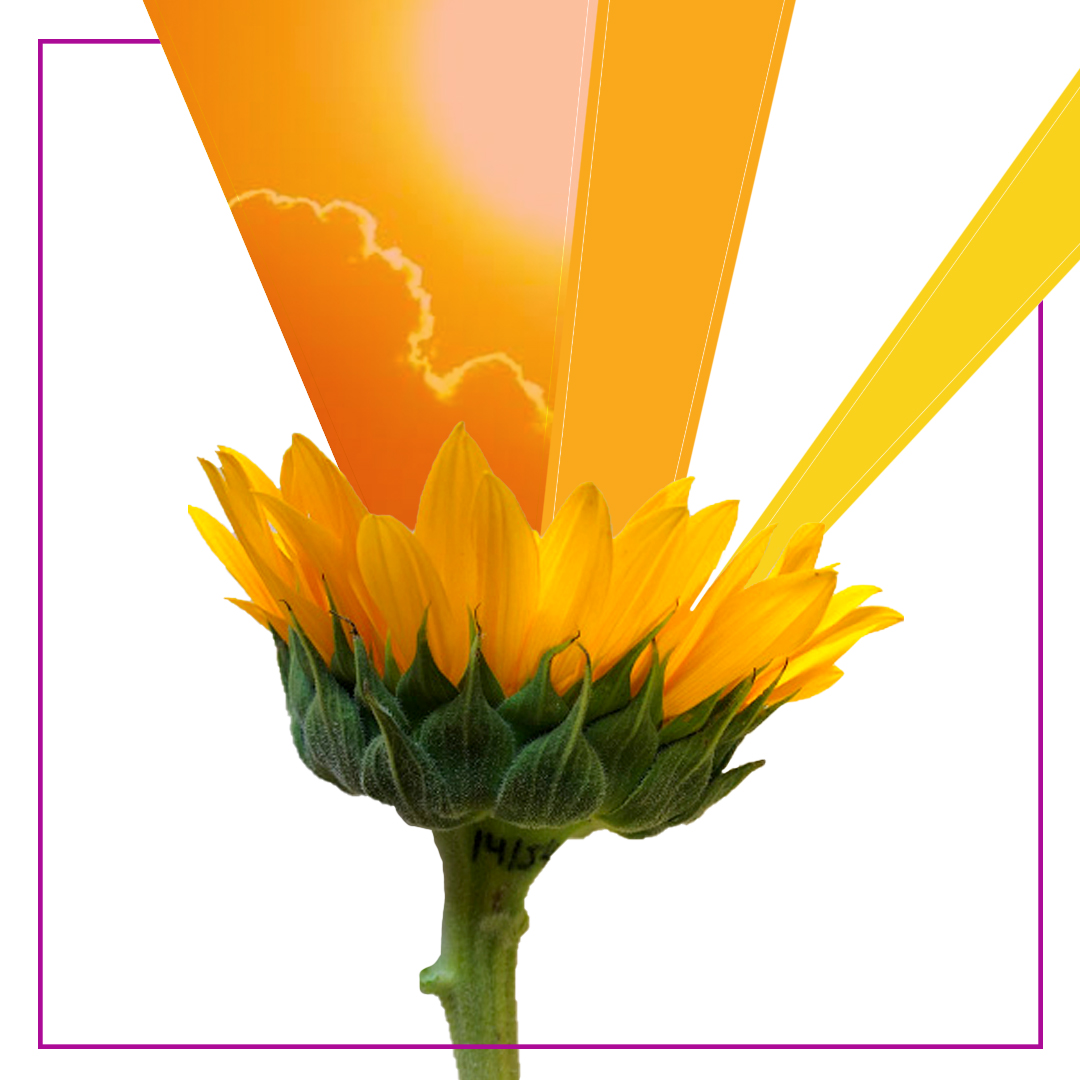 Elione Solar_July6